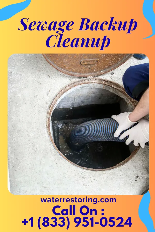 Sewage Backup Cleanup in Dodge City, KS